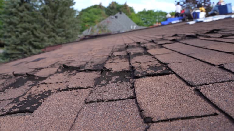 Best Roof Leak Repair  in Umatilla, FL