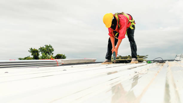 Best Green or Eco-Friendly Roofing Solutions  in Umatilla, FL