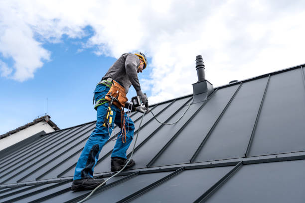 Best Roof Insulation Installation  in Umatilla, FL